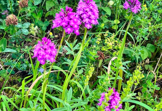 22-06-06 11-27-35 1058